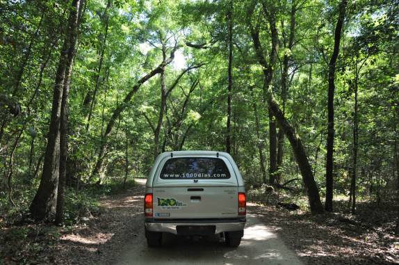 Parque de Peacock, na Flórida, nos Estados Unidos